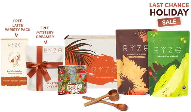 All Day Energy Bundle LNUQ