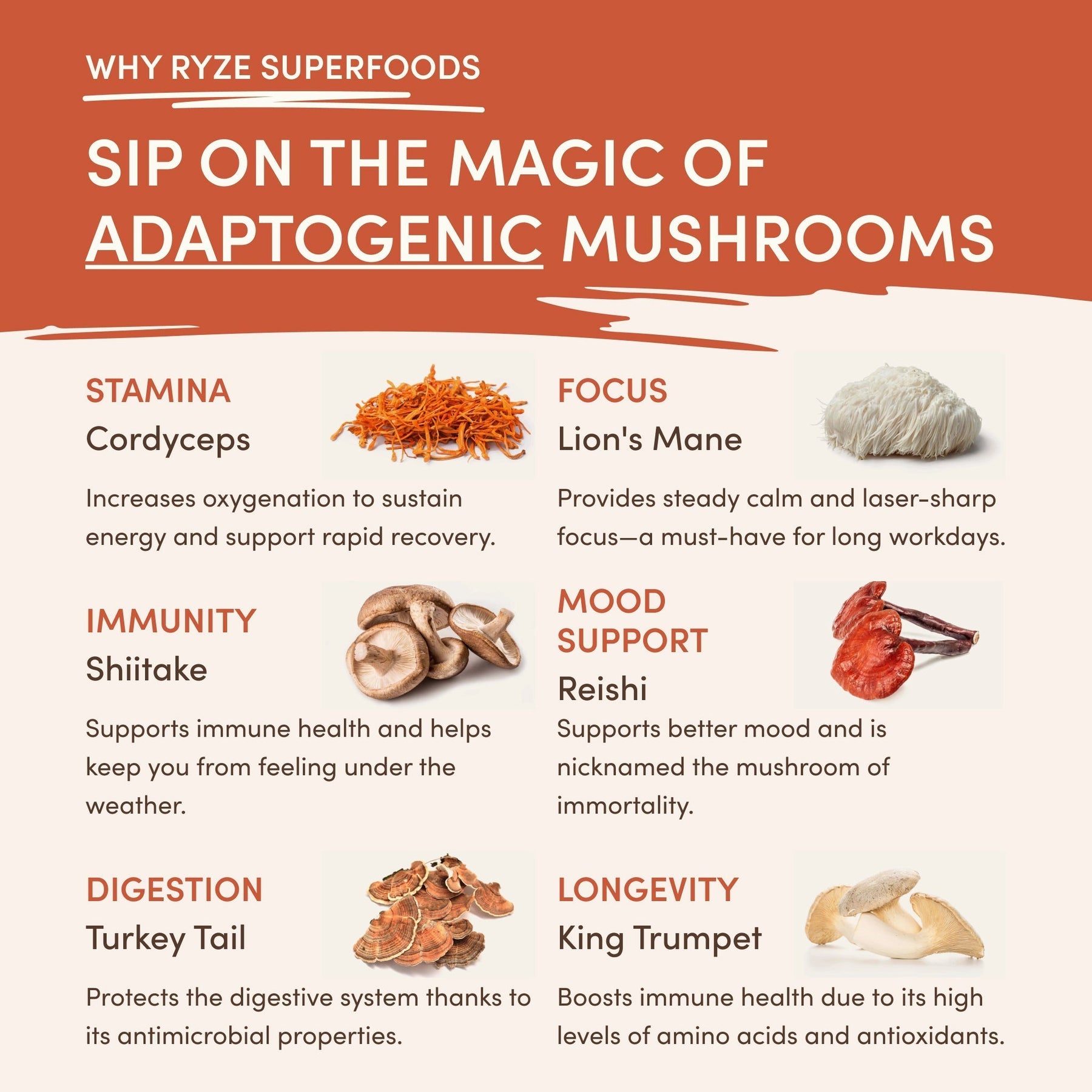 Superfood Creamer 7N5M