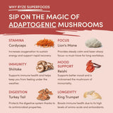 Mushroom Chai ZIH5